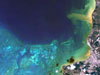 ocean image thumbnail