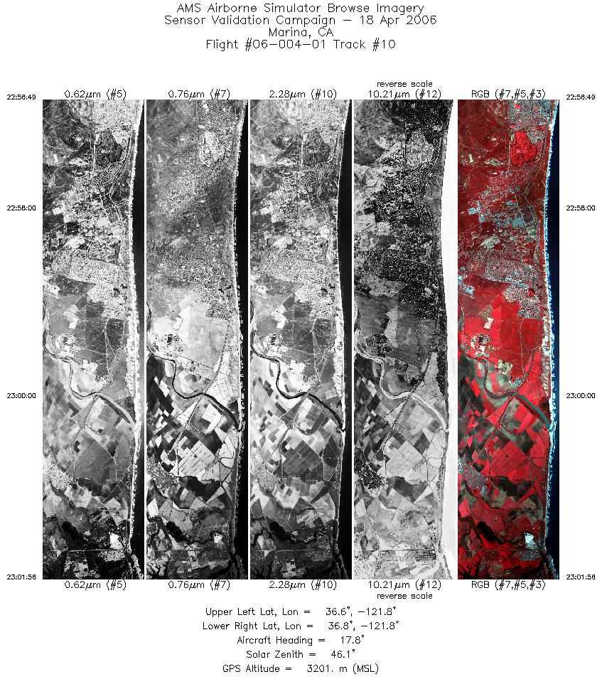 Image of selected bands from flight line 10