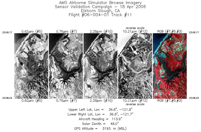 Image of selected bands from flight line 11