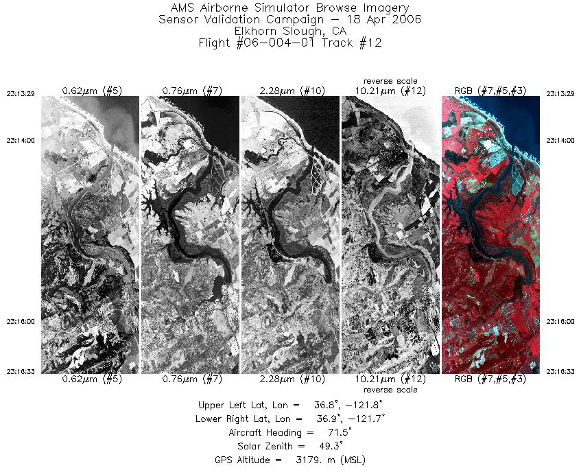 Image of selected bands from flight line 12