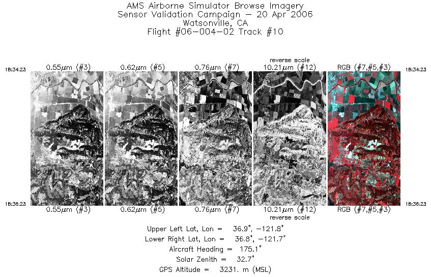 Image of selected bands from flight line 10