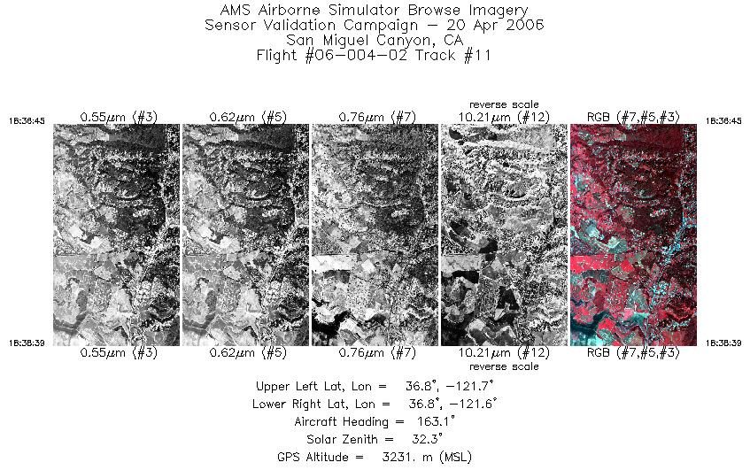 Image of selected bands from flight line 11