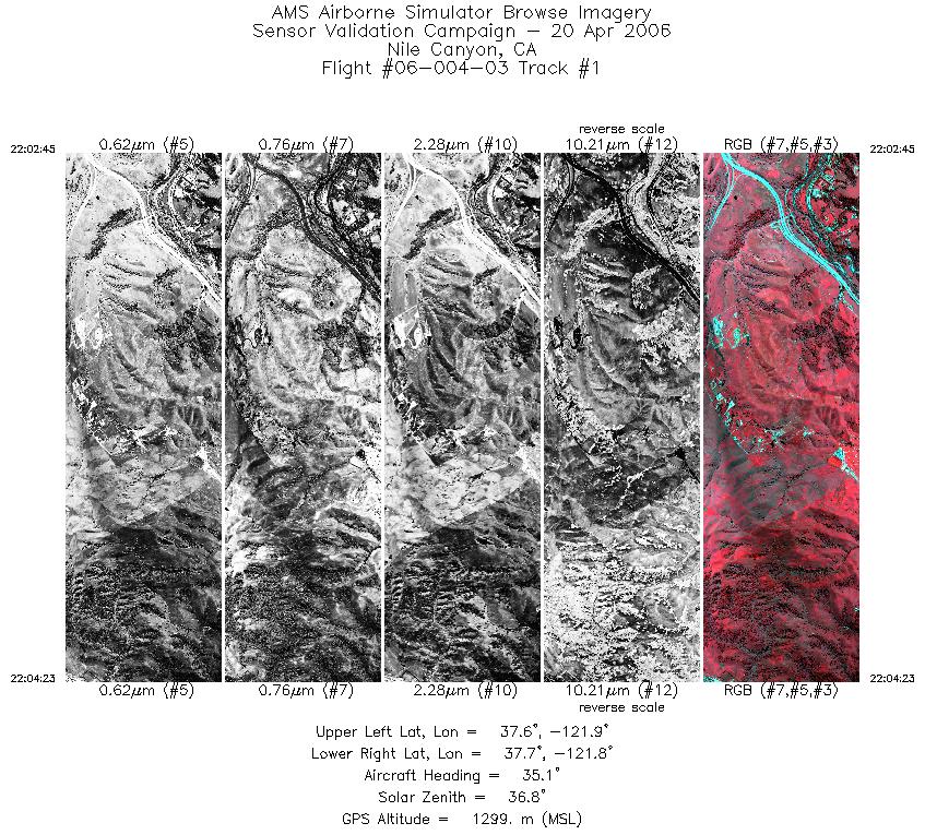 Image of selected bands from flight line 01