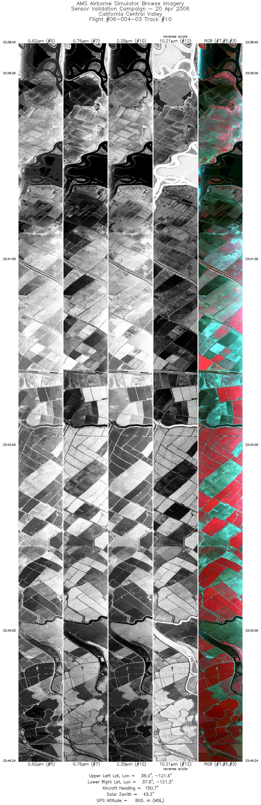 Image of selected bands from flight line 10