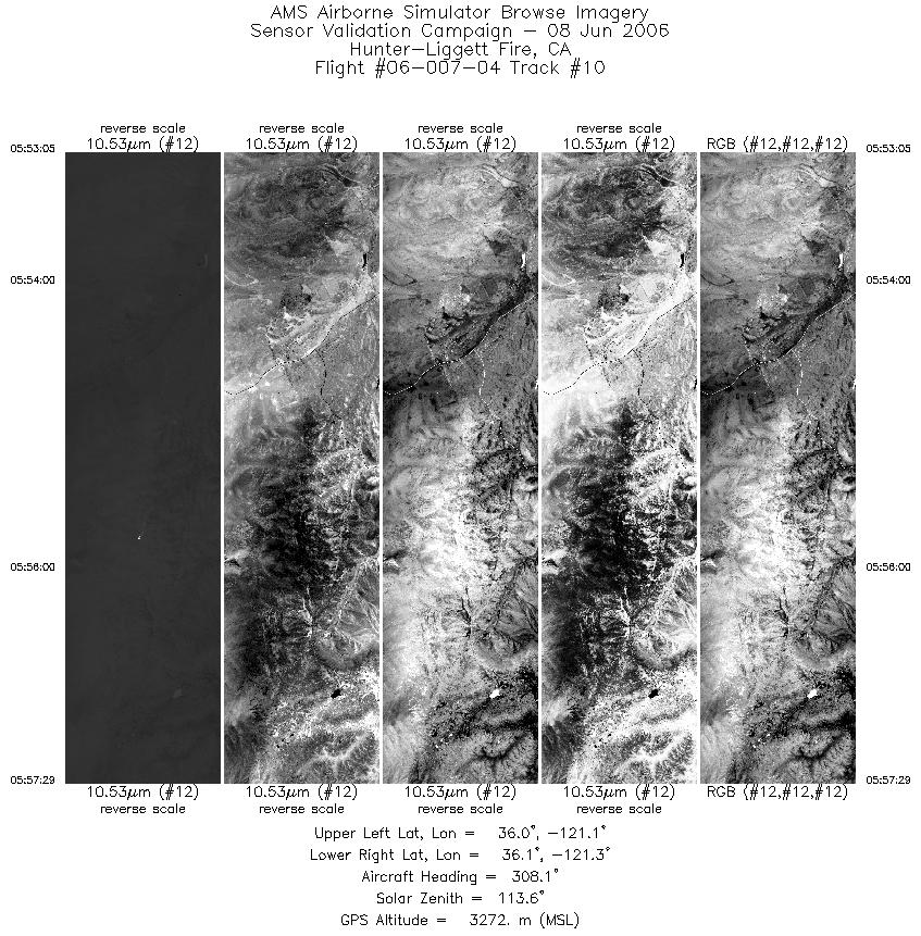 Image of selected bands from flight line 10