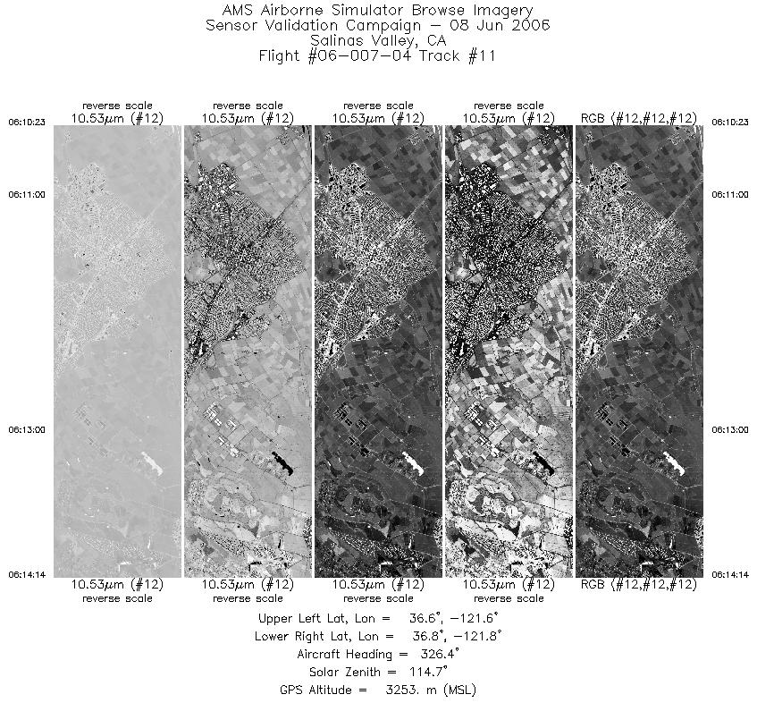 Image of selected bands from flight line 11