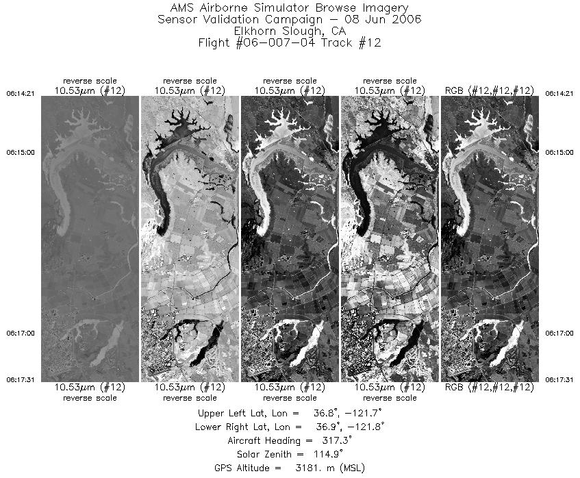 Image of selected bands from flight line 12