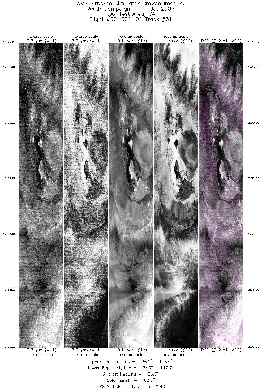 Image of selected bands from flight line 31