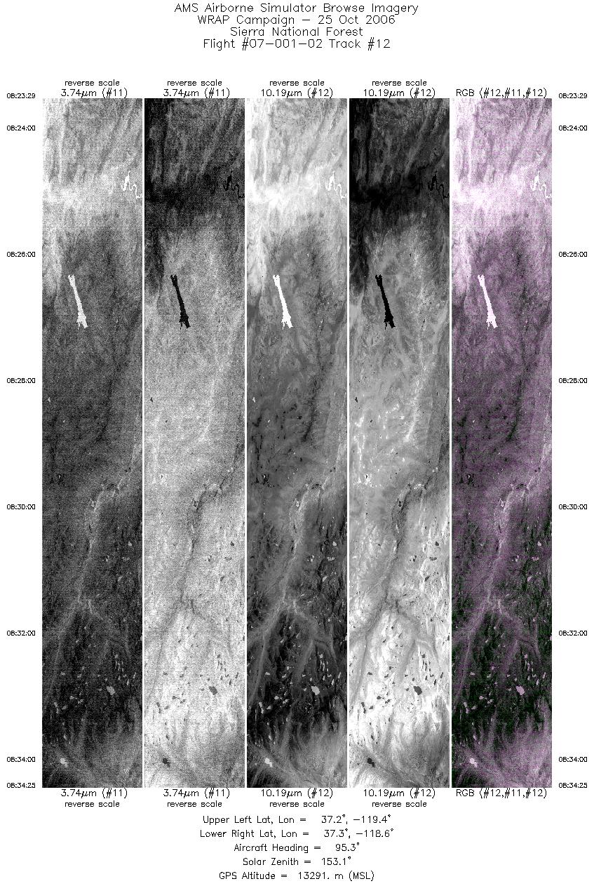 Image of selected bands from flight line 12