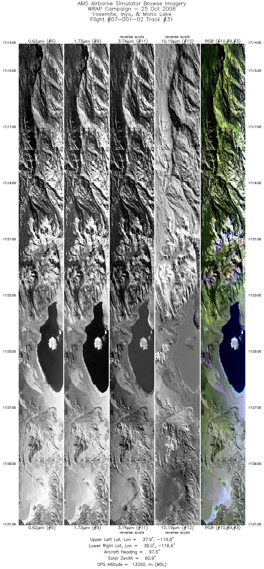 Image of selected bands from flight line 31