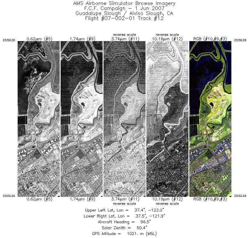 Image of selected bands from flight line 12