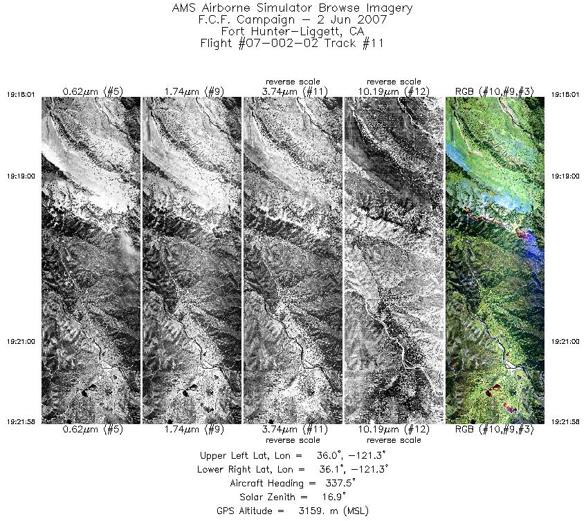 Image of selected bands from flight line 11