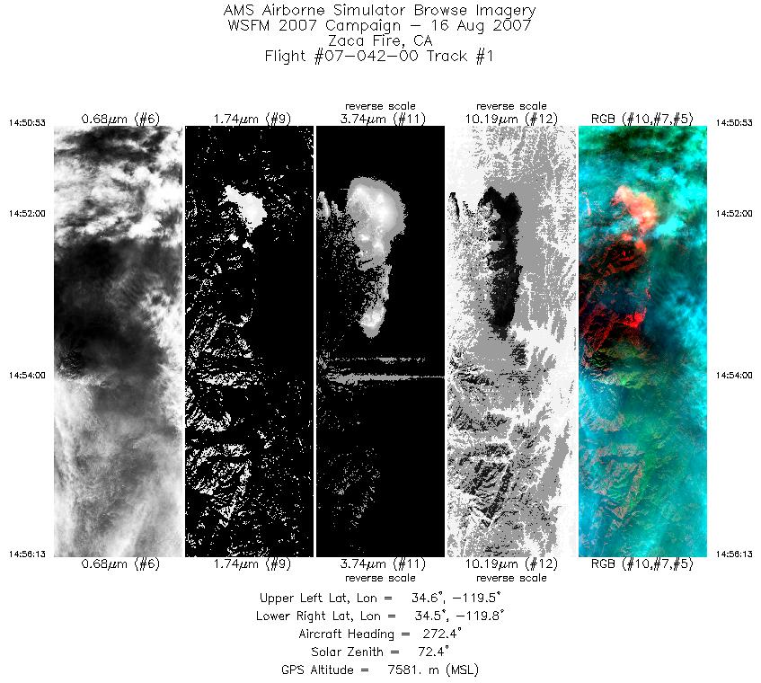 Image of selected bands from flight line 01