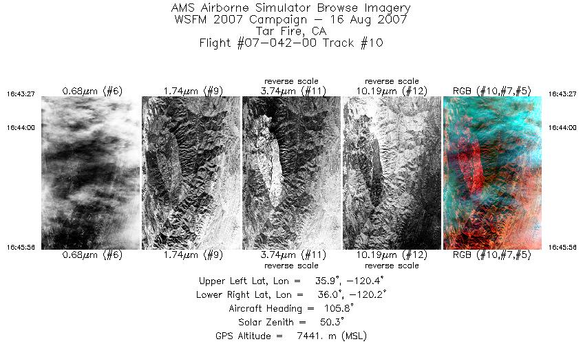 Image of selected bands from flight line 10