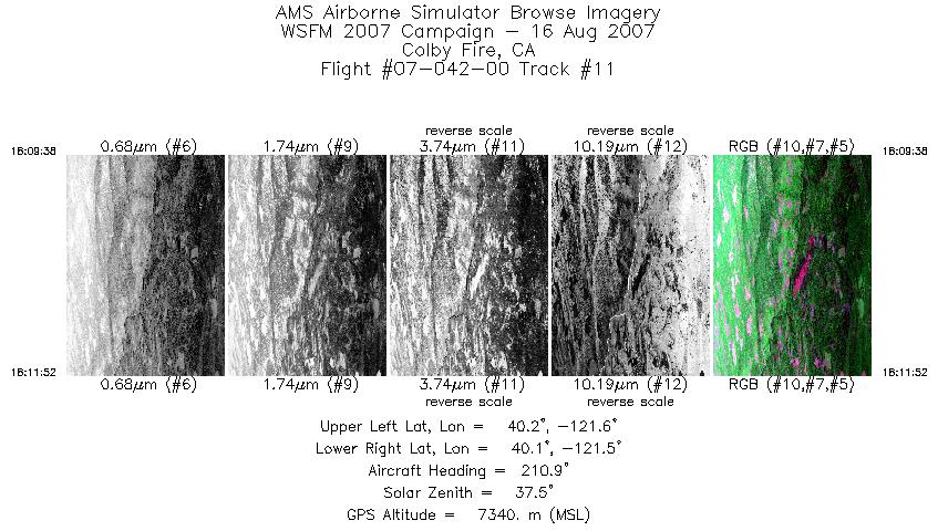 Image of selected bands from flight line 11