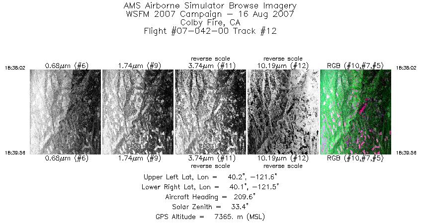 Image of selected bands from flight line 12