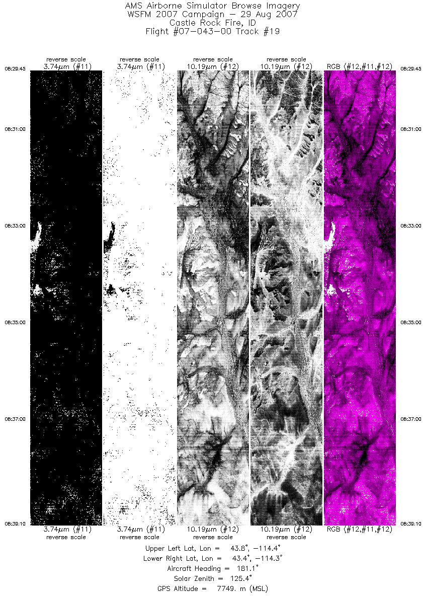 Image of selected bands from flight line 19