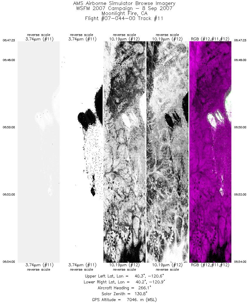 Image of selected bands from flight line 11