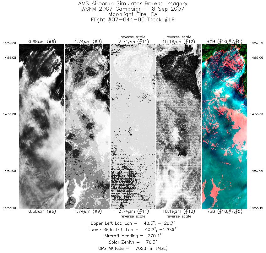 Image of selected bands from flight line 19