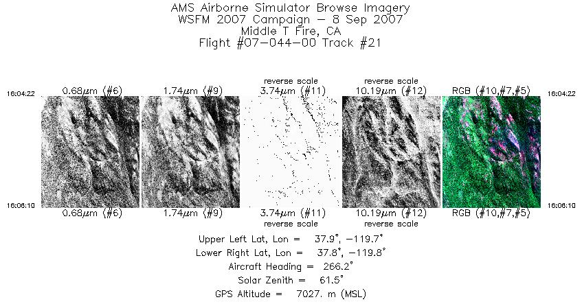 Image of selected bands from flight line 21