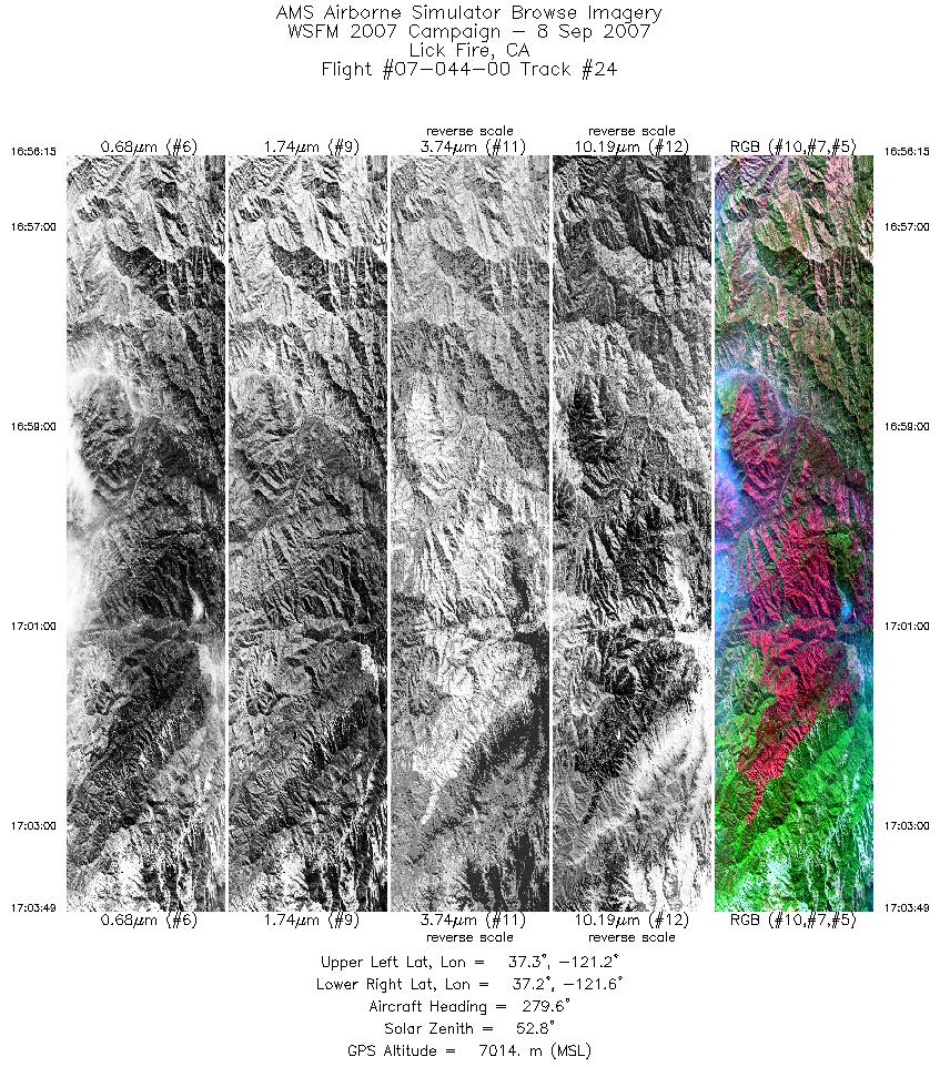 Image of selected bands from flight line 24