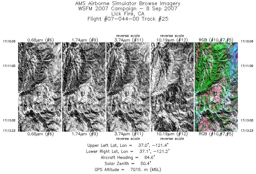 Image of selected bands from flight line 25