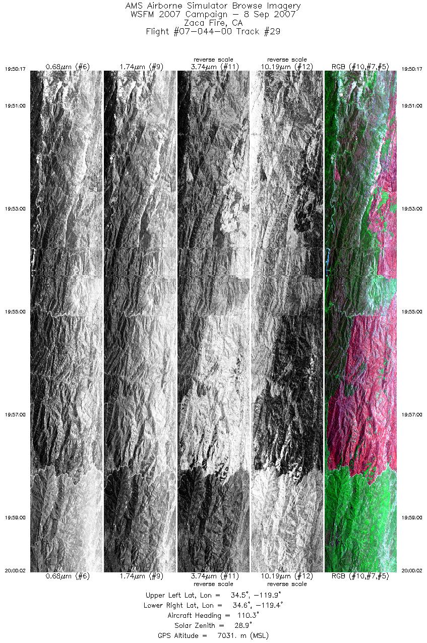 Image of selected bands from flight line 29