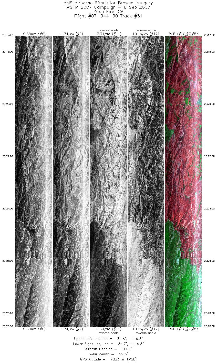 Image of selected bands from flight line 31