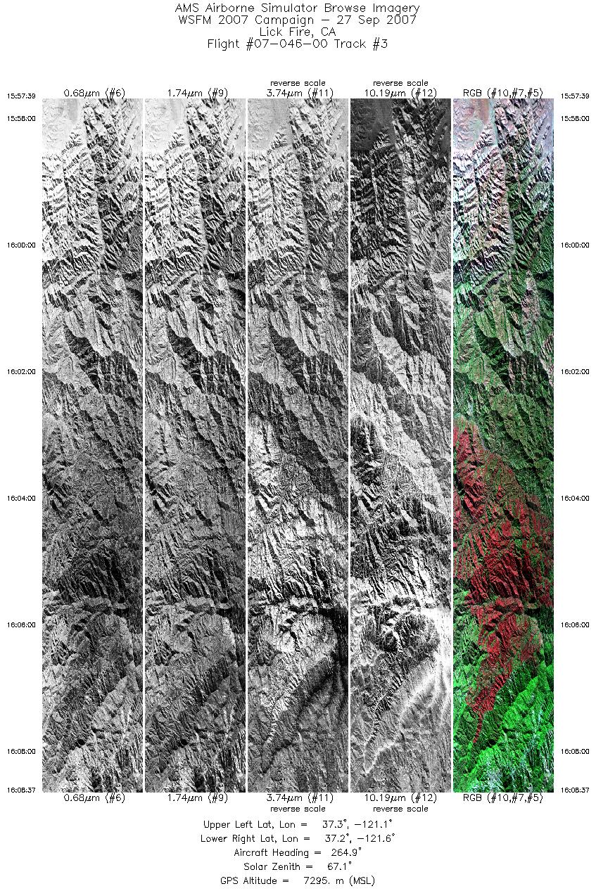 Image of selected bands from flight line 03