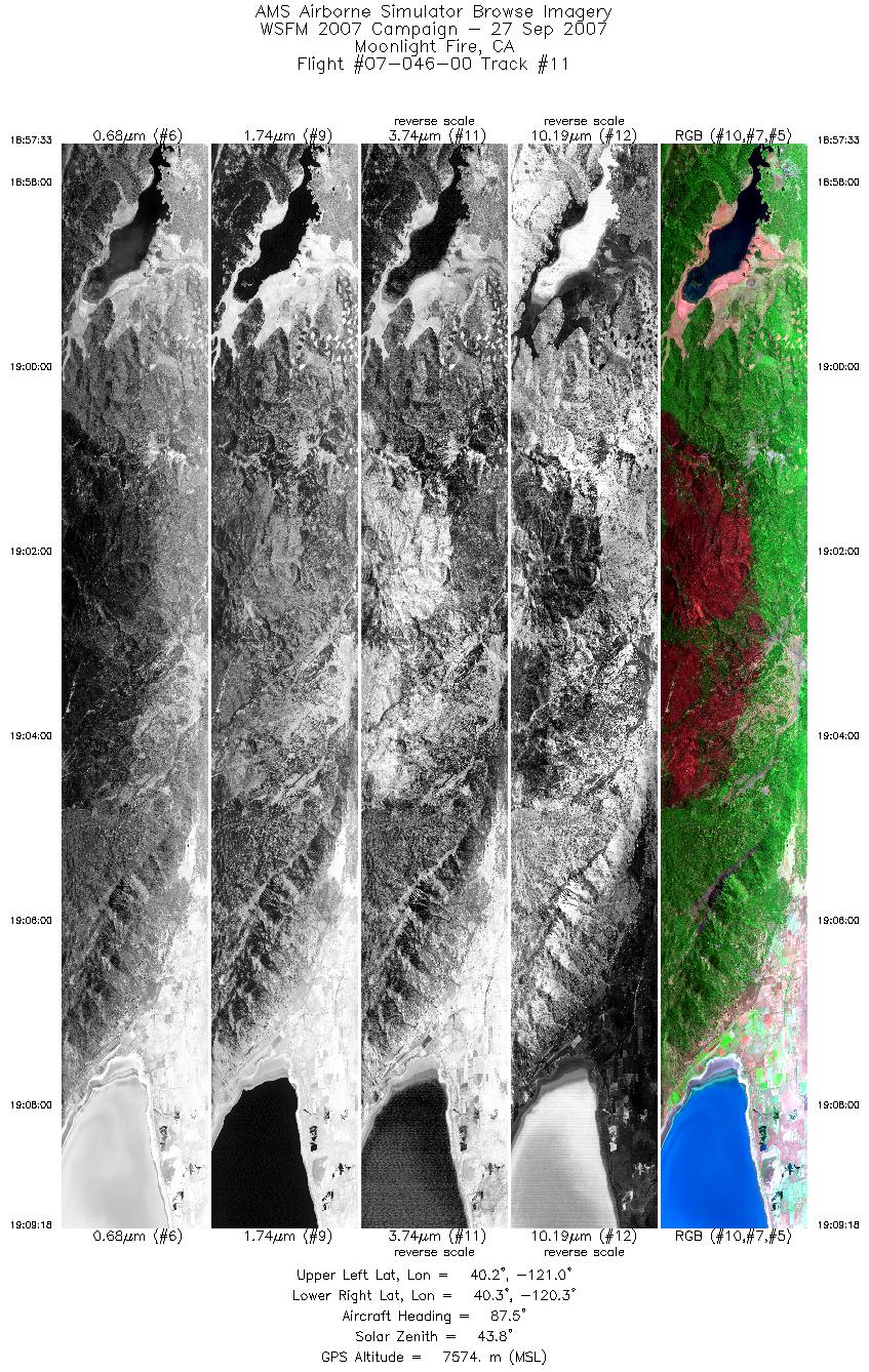 Image of selected bands from flight line 11