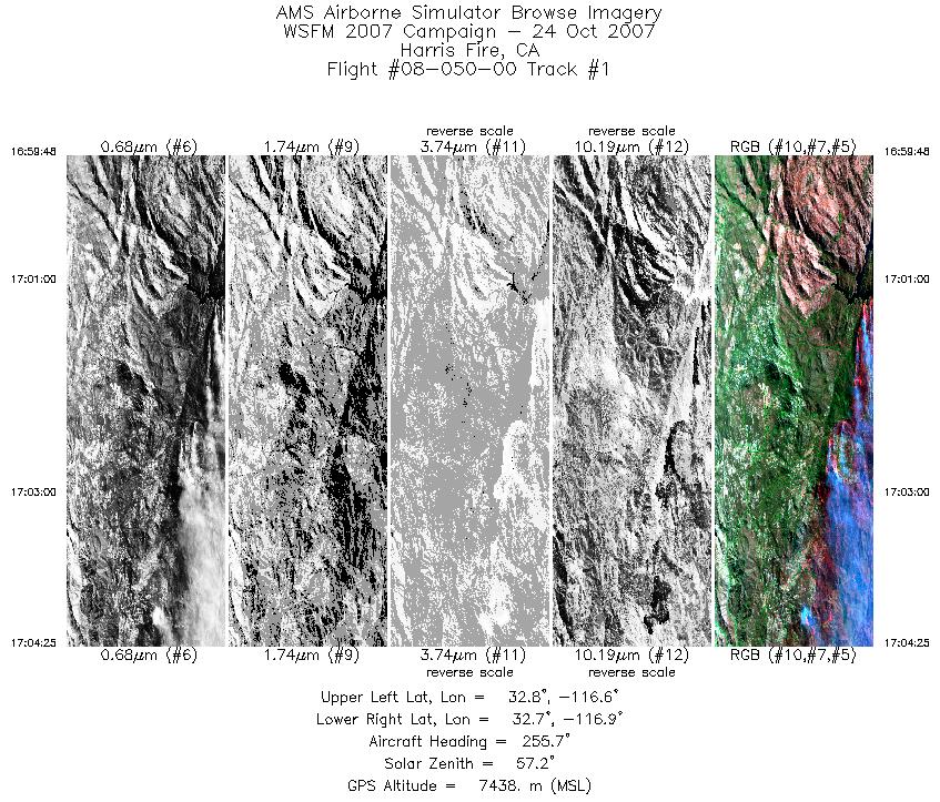 Image of selected bands from flight line 01