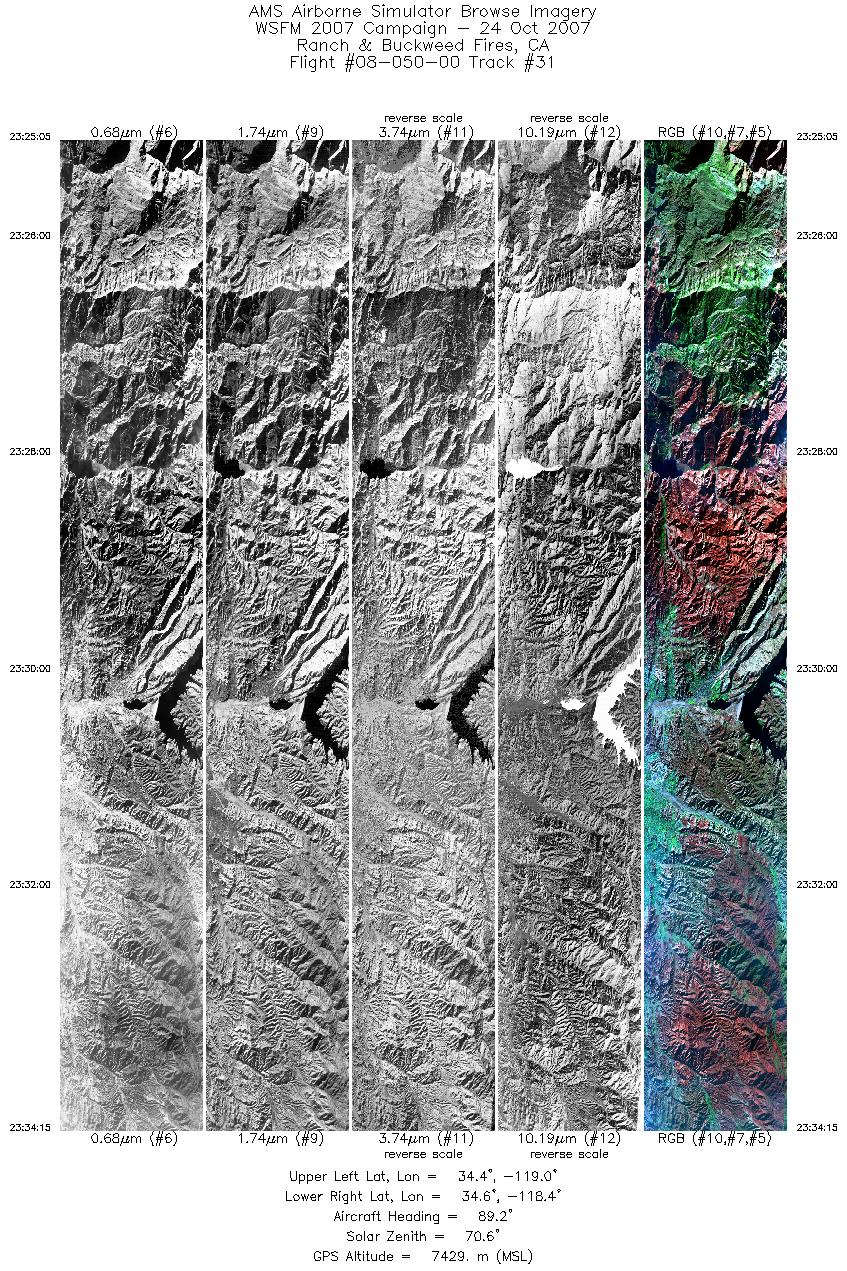 Image of selected bands from flight line 31