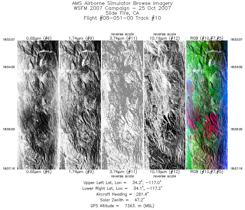 Image of selected bands from flight line 10