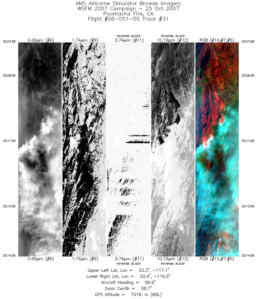 Image of selected bands from flight line 31