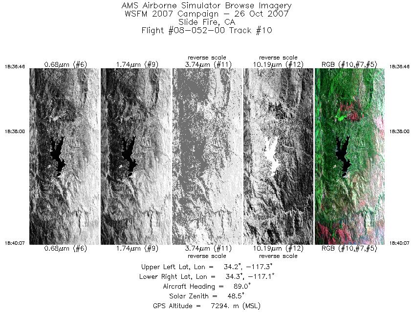 Image of selected bands from flight line 10