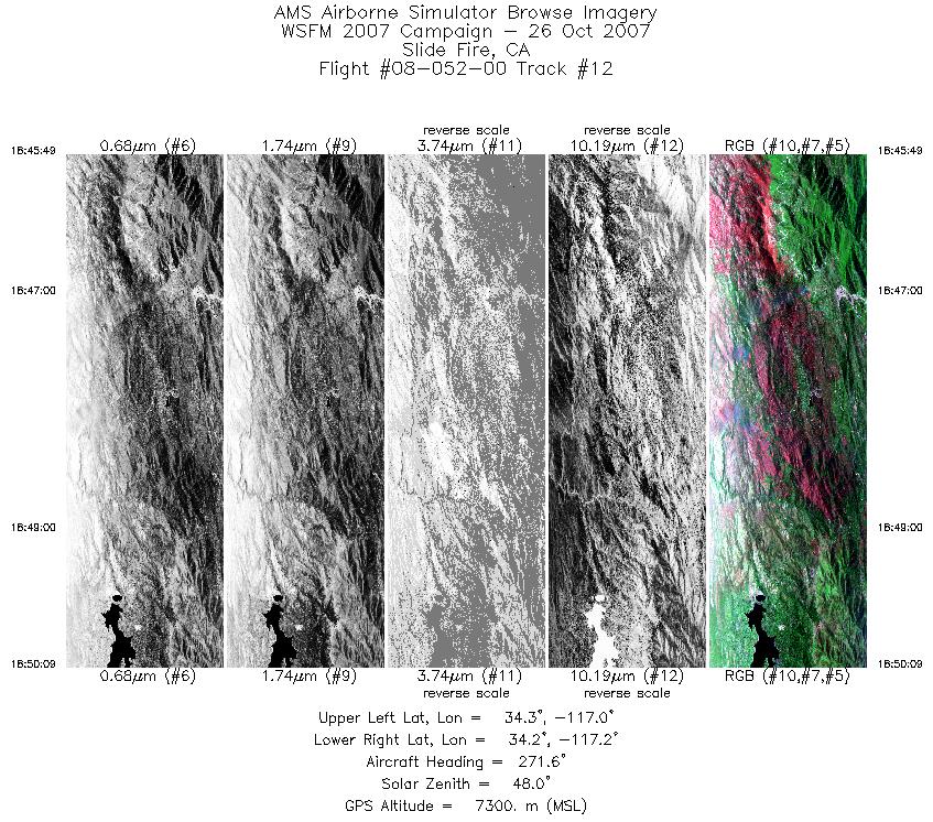 Image of selected bands from flight line 12