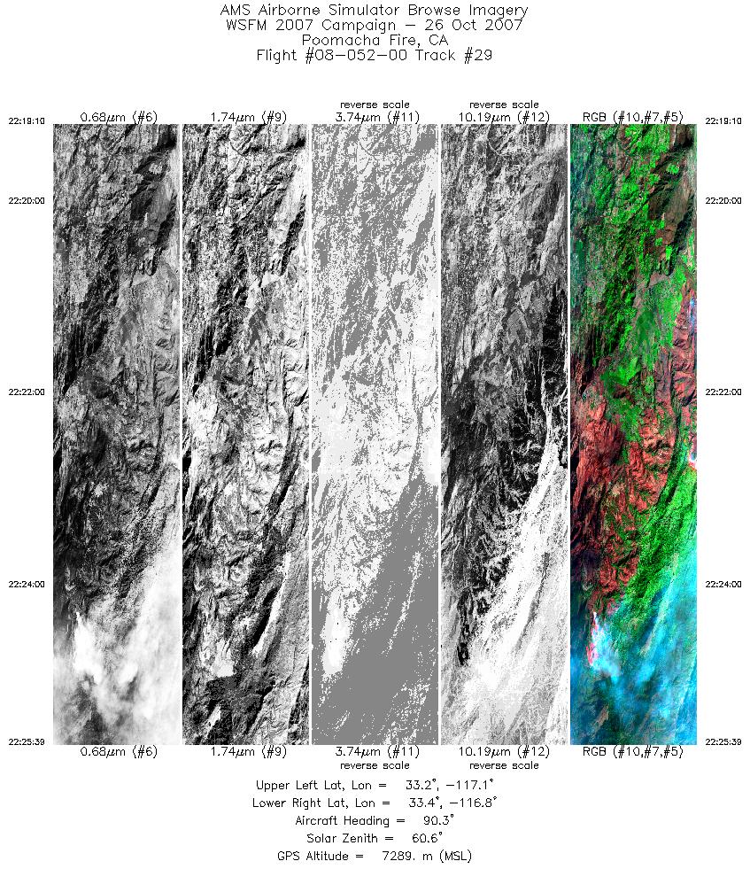 Image of selected bands from flight line 29