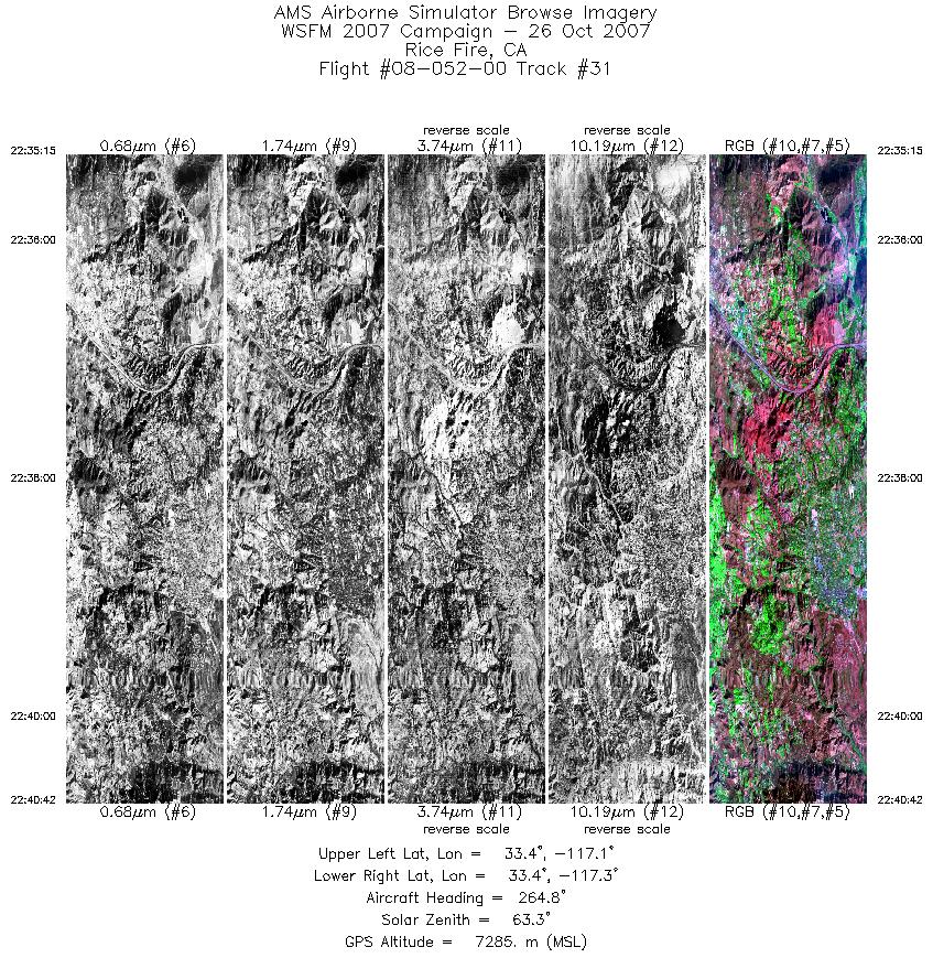 Image of selected bands from flight line 31