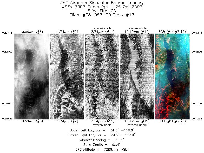 Image of selected bands from flight line 43