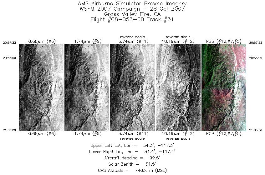 Image of selected bands from flight line 31