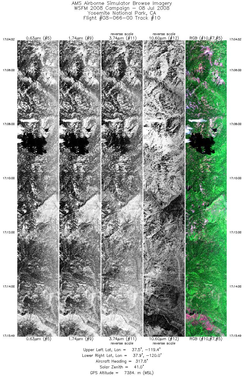 Image of selected bands from flight line 10