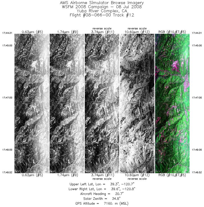 Image of selected bands from flight line 12