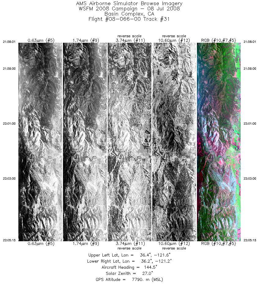 Image of selected bands from flight line 31