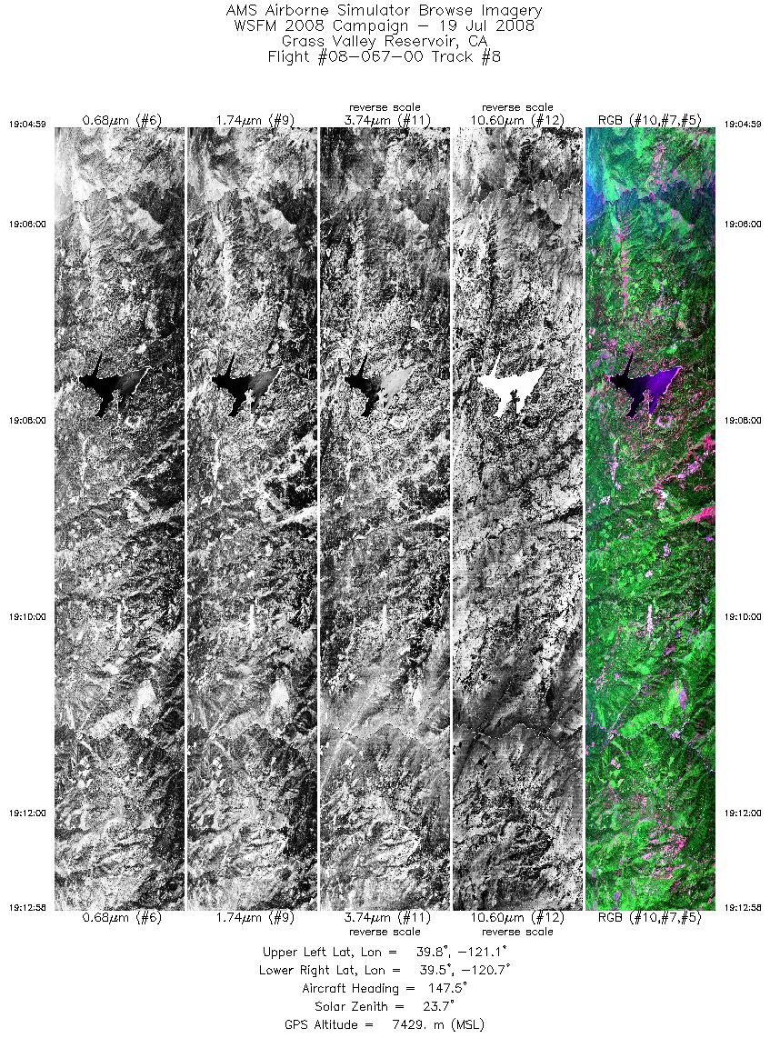 Image of selected bands from flight line 08