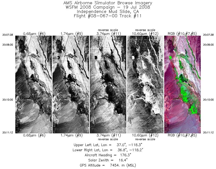 Image of selected bands from flight line 11