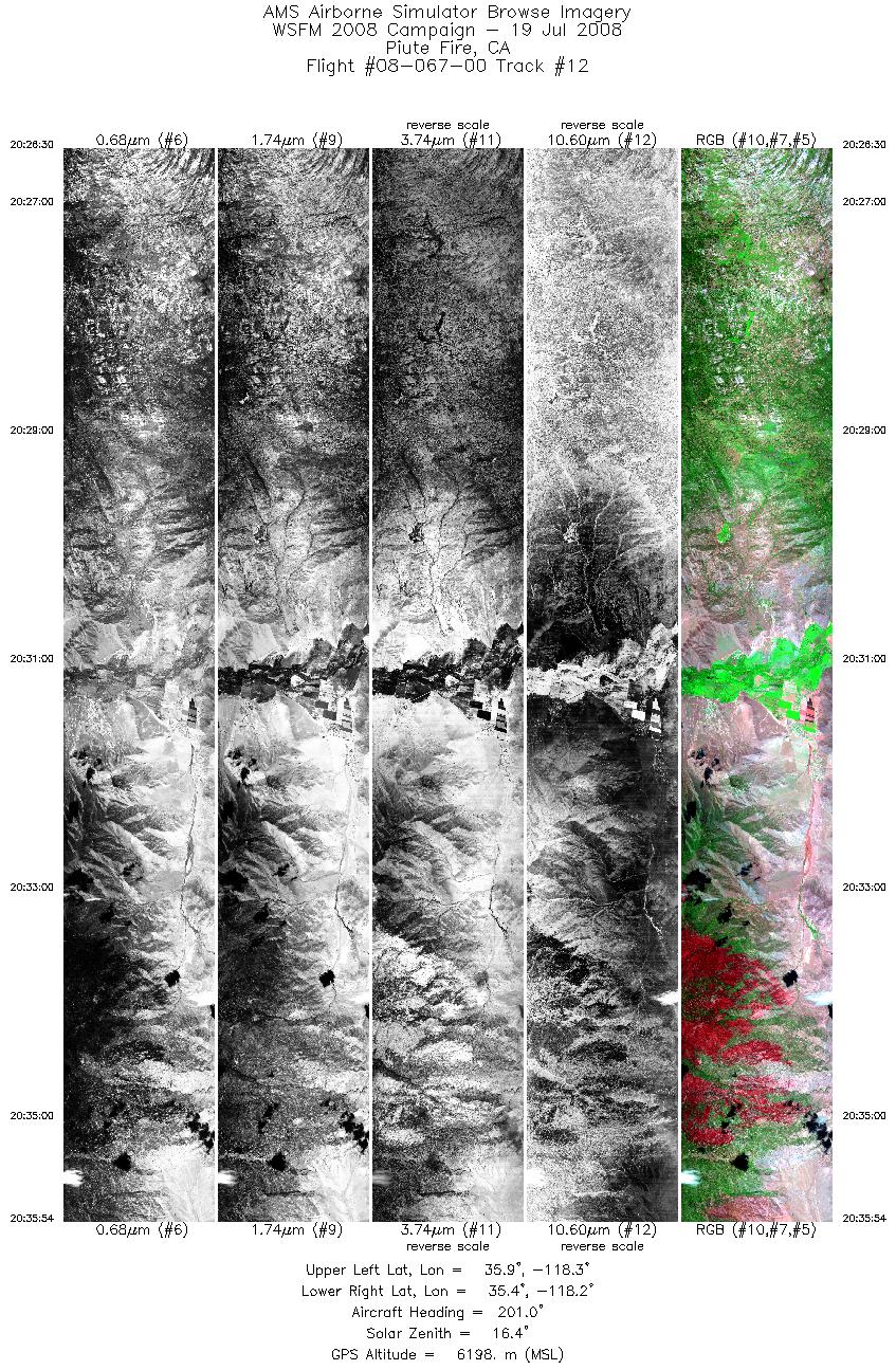 Image of selected bands from flight line 12