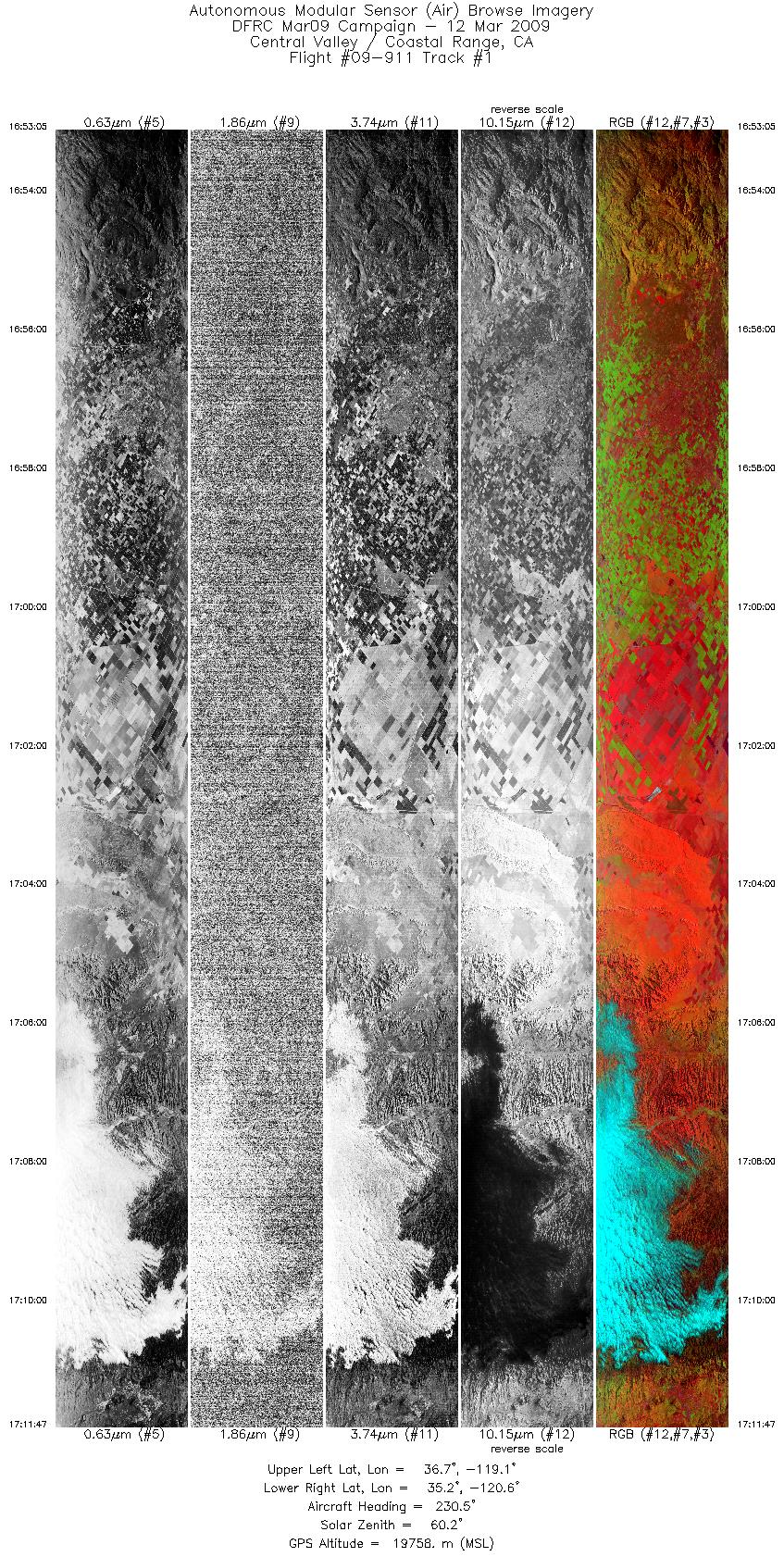 Image of selected bands from flight line 01