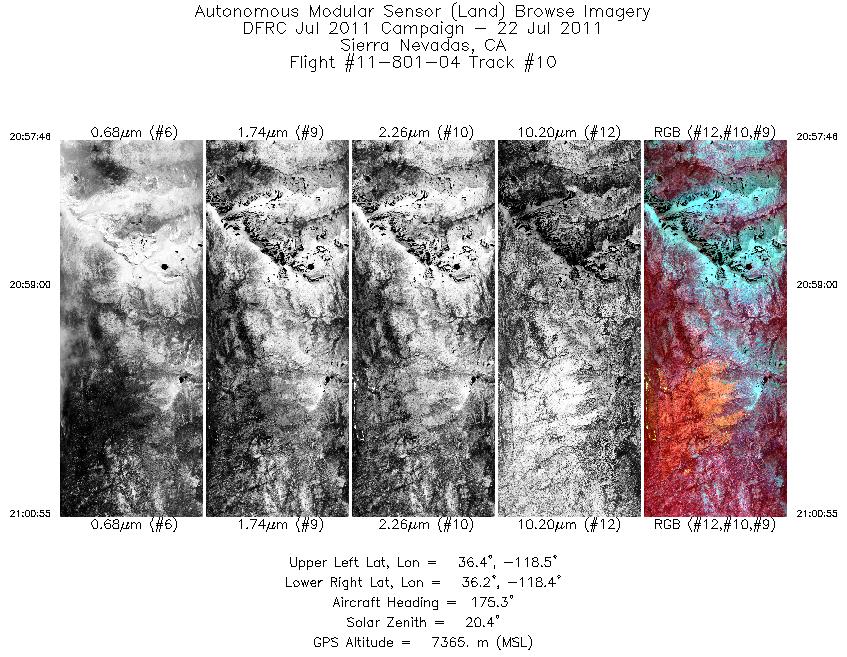 Image of selected bands from flight line 10