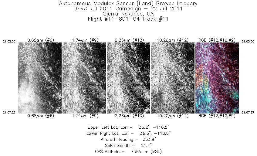 Image of selected bands from flight line 11