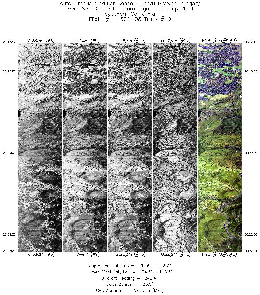 Image of selected bands from flight line 10